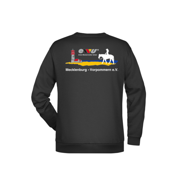 Rückendruck - Promo Sweat Men Miniaturansicht