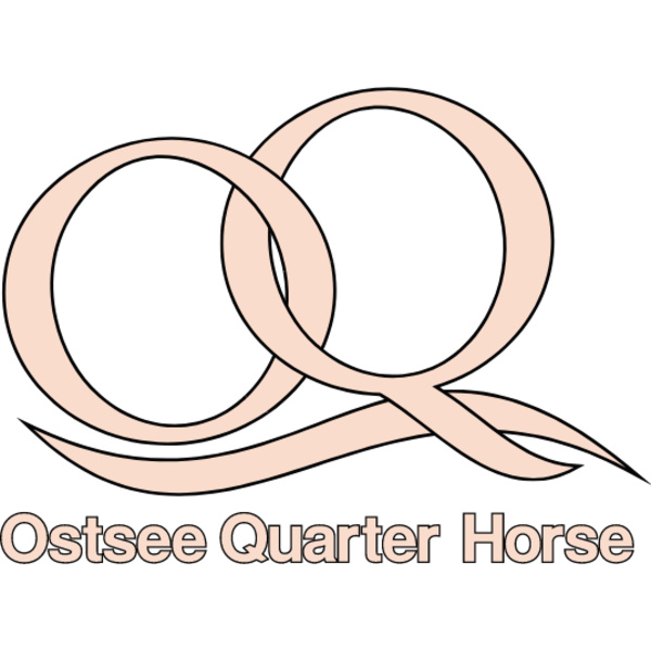 Ostsee Quarter Horse Miniaturansicht